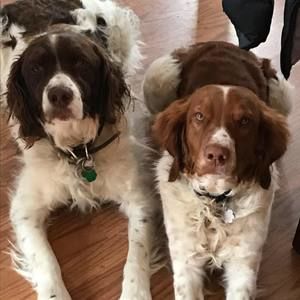 Meet your Posher, Maureen